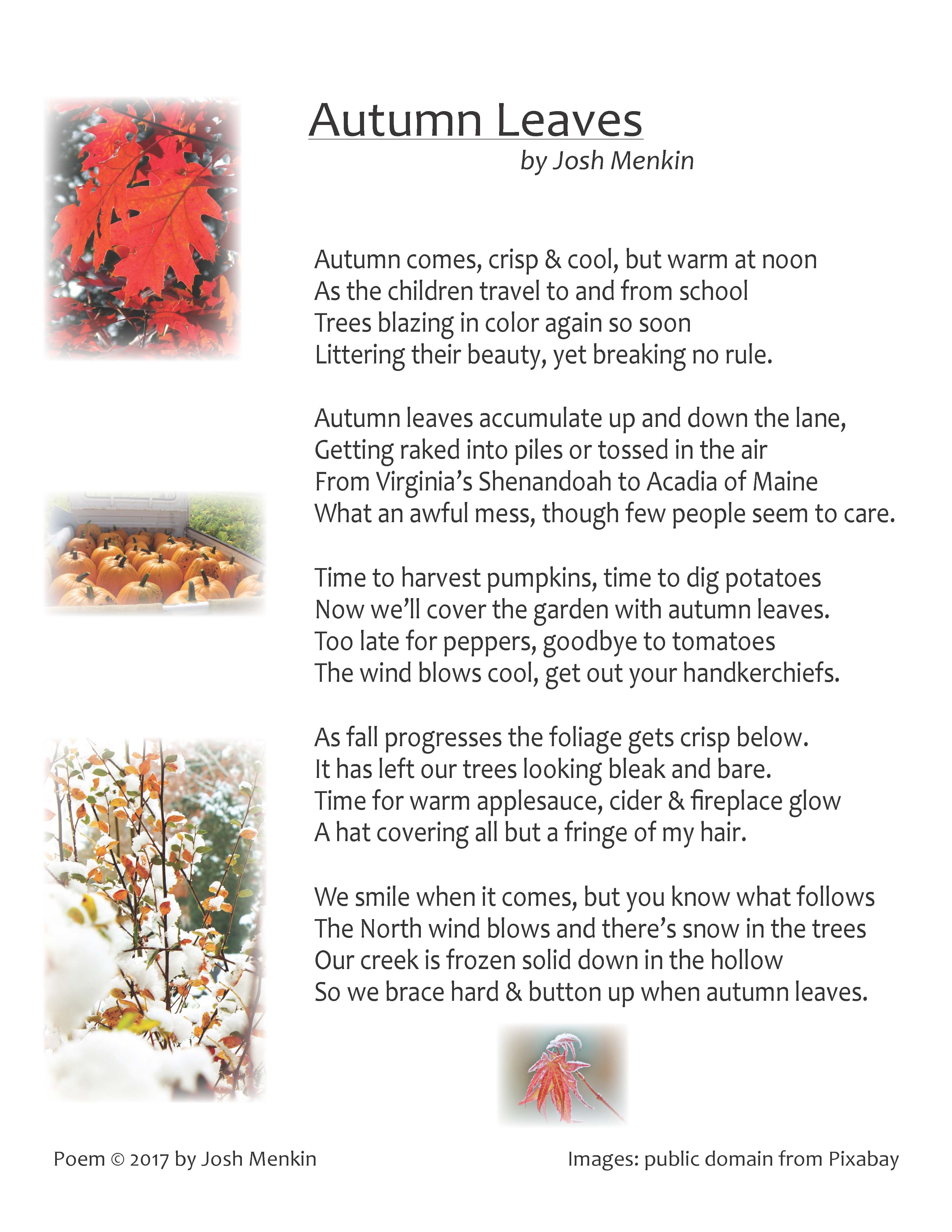 Autumn_Leaves_1_Josh